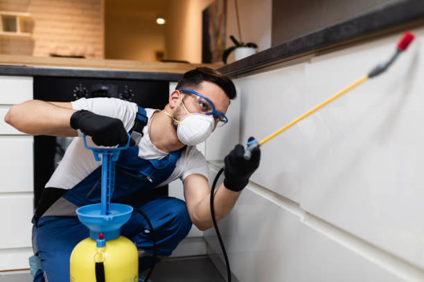Best Mosquito Control Services  in Sisters, OR