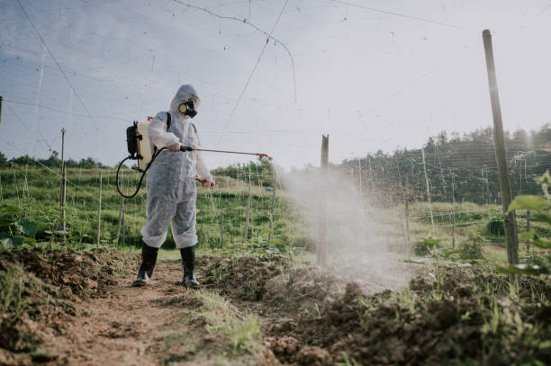 Best Pest Removal Services  in Sisters, OR