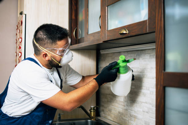 Best Affordable Pest Control Services  in Sisters, OR