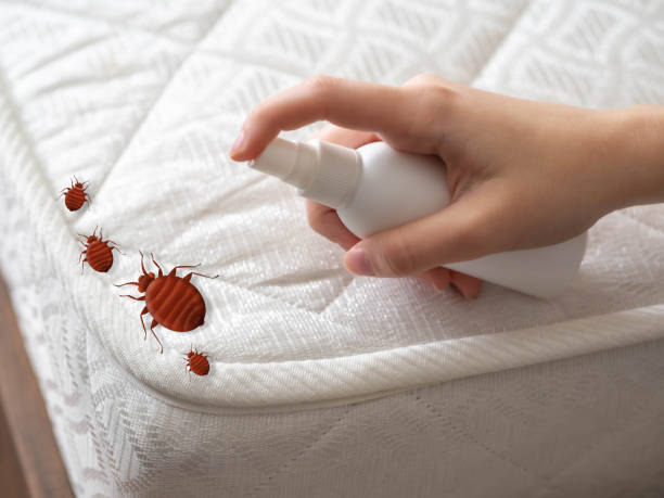 Best Flea Control Services  in Sisters, OR