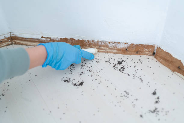 Reliable Sisters, OR Pest Control Solutions